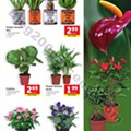 Antevisão Folheto LIDL Promoções de 12 a 18 agosto d27.jpg